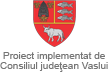 Consiliul judeţean Vaslui