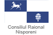 Consiliul raional Nisporeni
